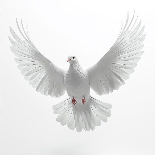 The Shadow of His Wings