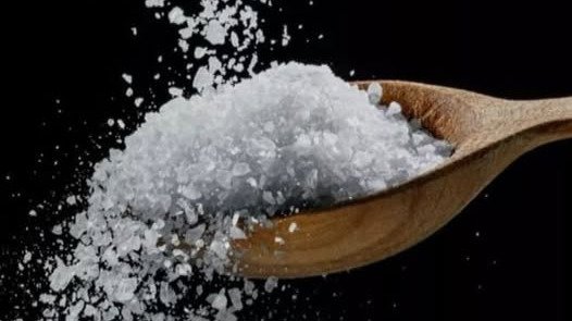 The Salt of the Earth